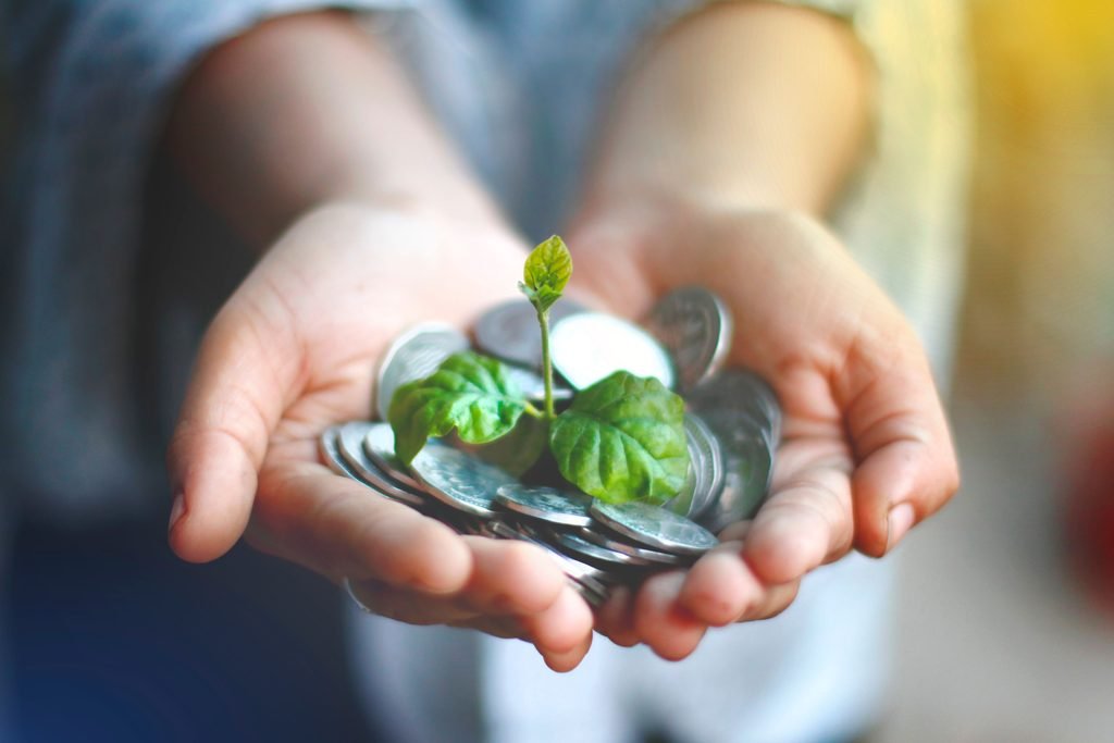 Compound interest helping money grow over time through long-term investing